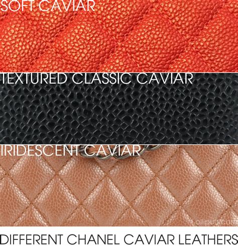 Chanel Caviar Leather Guide 